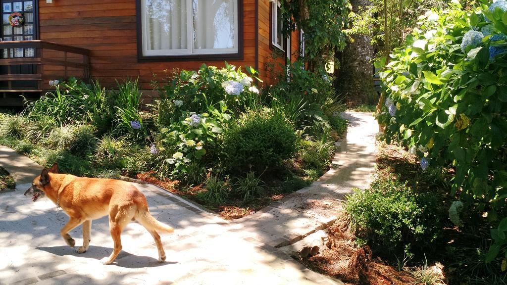 Villa Sobrado Estilo Alemao à Canela Extérieur photo